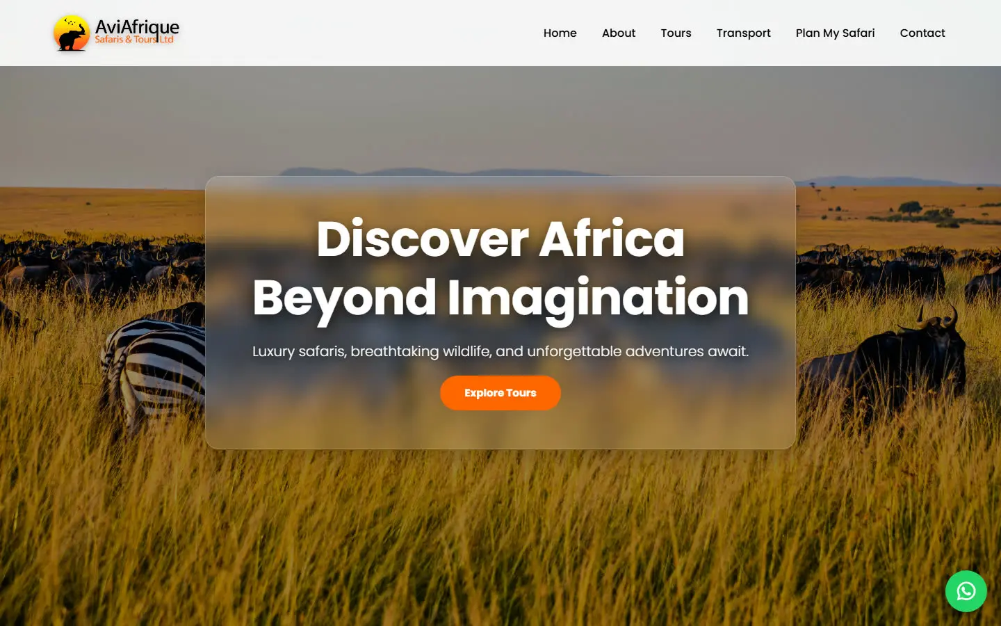 AviAfrique Safari Tours website