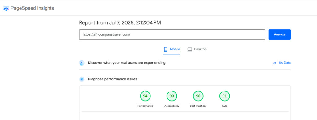 Google PageSpeed scores 94 performance, 91 SEO