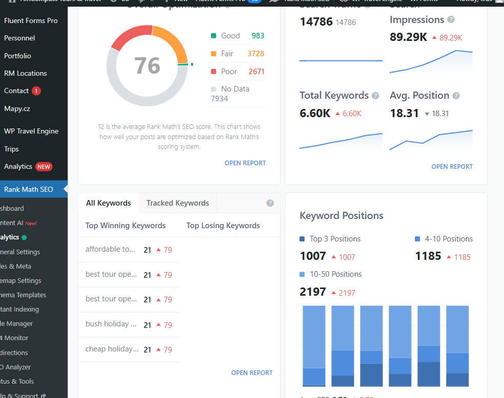 Keyword positions: 1,007 keywords in the top 3